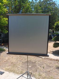 !! Projection Screen Firm  Price