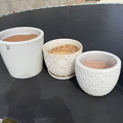 Plant Pots All Sizes