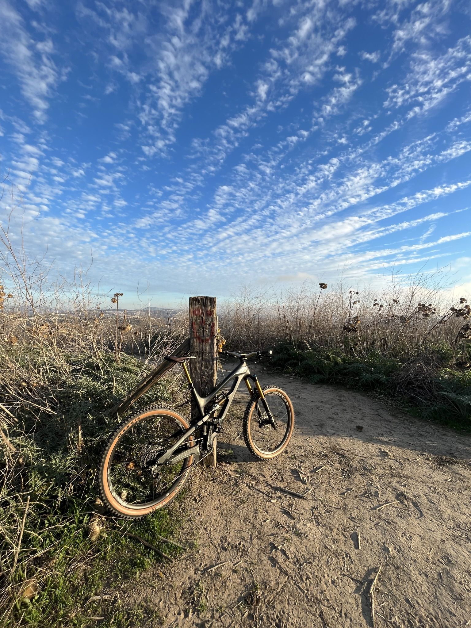 YT Capra Pro Race