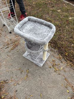 Cat stand