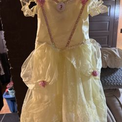 Disney Princess Dress Size Extra Small (3T-4T)