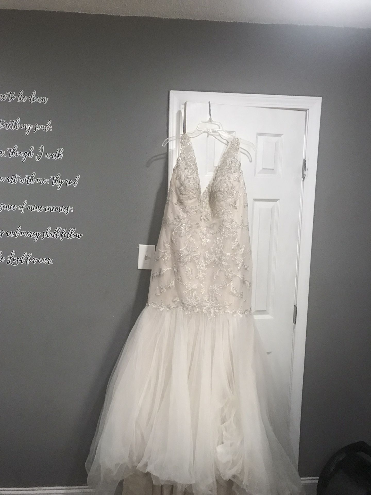 24size Wedding Dress & Veil