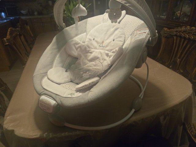 baby bouncer