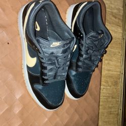 Nike Dunk low Size 12 35$