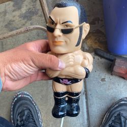 3-d Big Sipper The Rock WWF