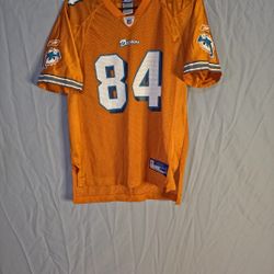 Miami Dolphins Youth Jersey Lot