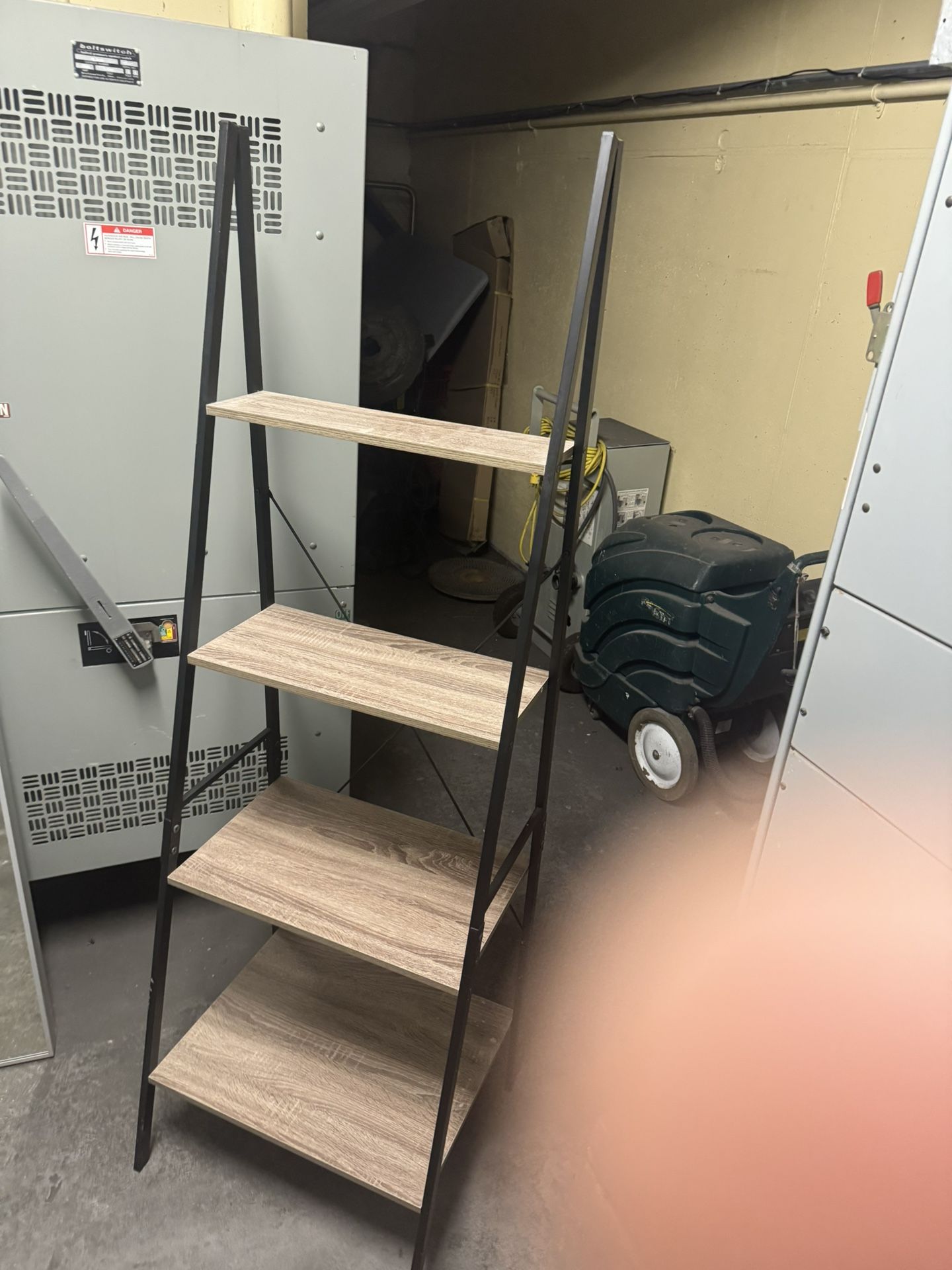 Ladder shelf