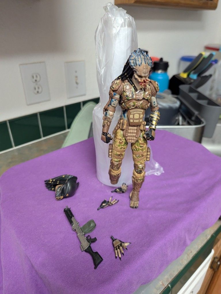 NECA Ultimate Emissary #1 Predator action figure
This guy is missing a foot