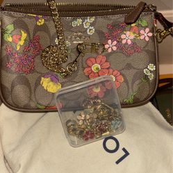 Coach Spring Mini Side Bag