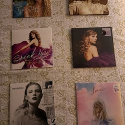 Taylor Swift Vinyl Collection Lot (contains 14 Vinyls) 