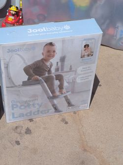 Potty ladder