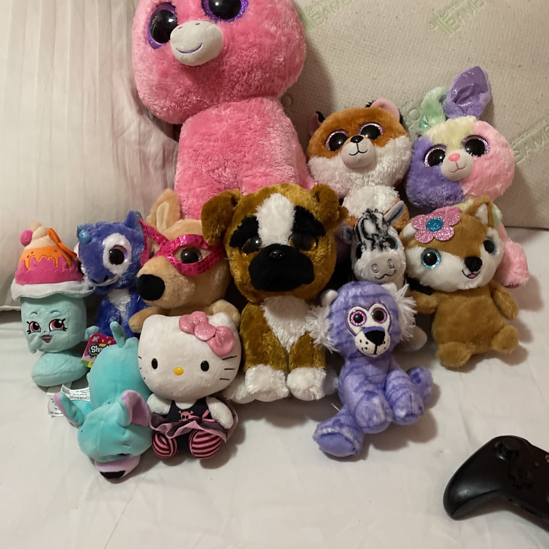12 TY plushies