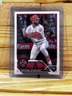 Michael Stefanic