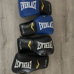 Everlast Training Gloves 