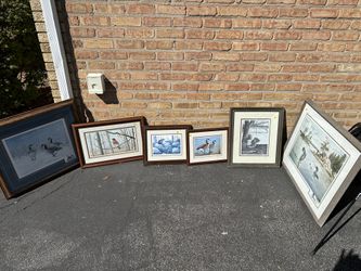 Frames Pictures Of Nature Animals