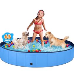 Big Dog/Kids House