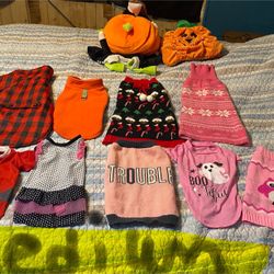 Dog Clothes 