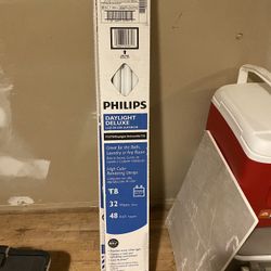 T8  4 Foot Fluorescent Bulbs