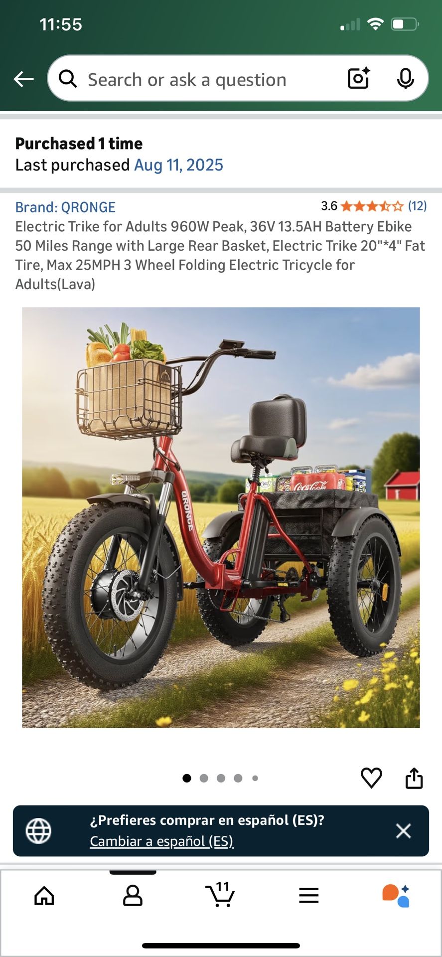 Electric Tricycle 