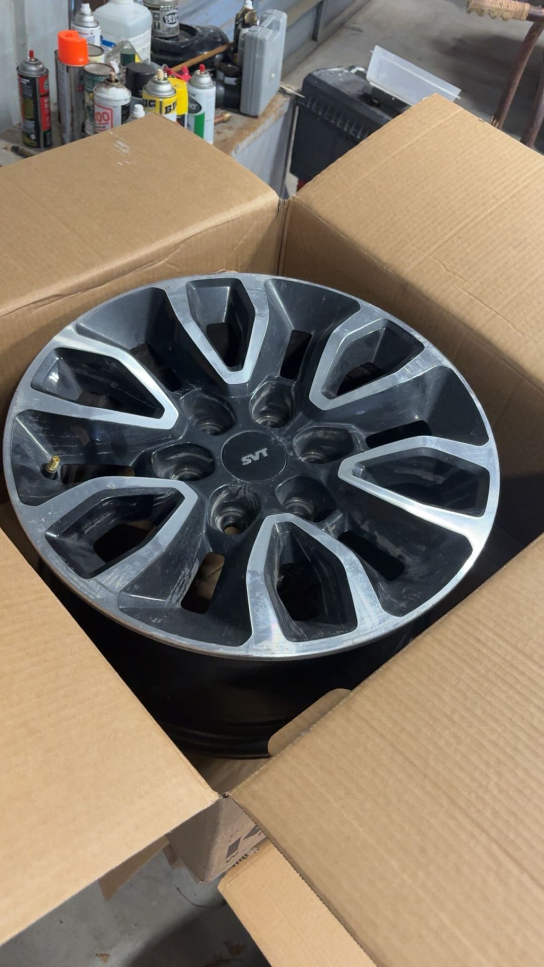 OEM SVT Wheels And Fox Suspension