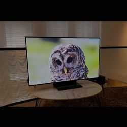 55-inch SAMSUNG OLED S95F 4K Smart TV UHD HDR (2025 Model)