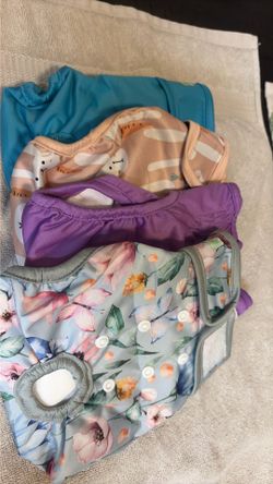 Pańales para perrita