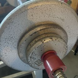 Weight Bench With Bars And Plates 