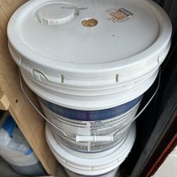 10 Gallons Exterior Paint 