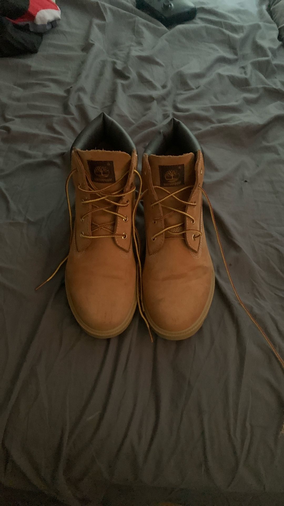 Timberlands Boys Size 6.5