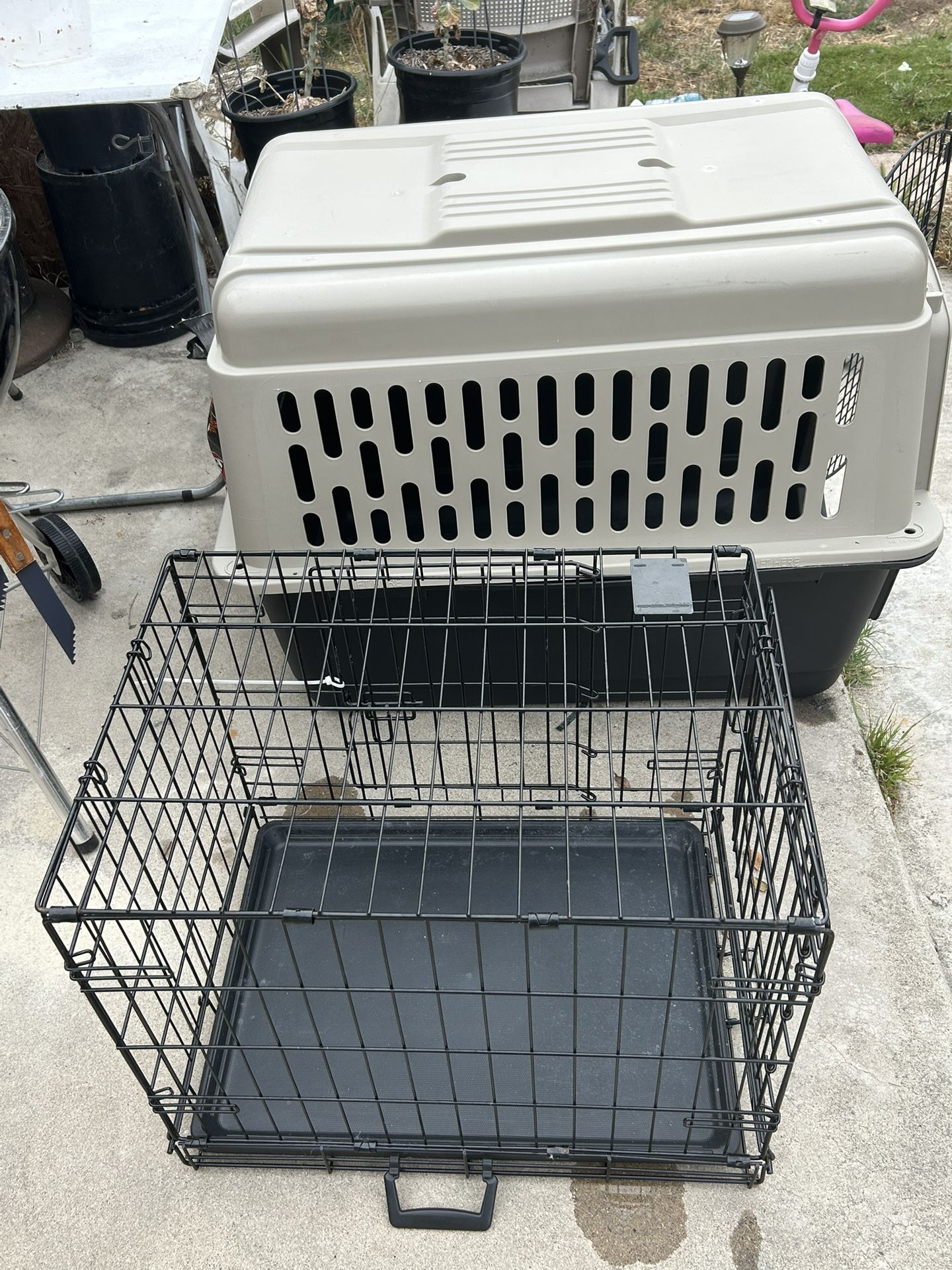 Dog Kennels