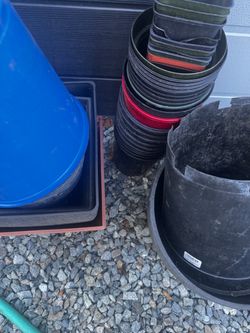 Free - different size plastic planters - Kent