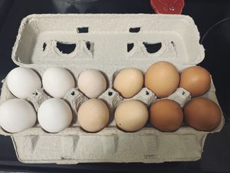 Eggs for sale!