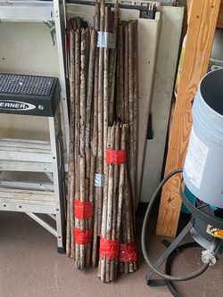 60  steel pins 36” and 20 24” $350