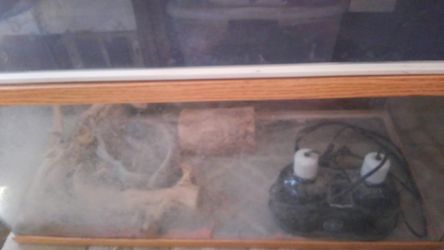 Lizard cage.