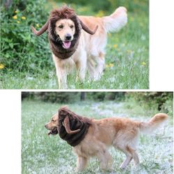 🎃☠️🐶Halloween Dog Horn Wig,🎃☠️🐶Peluca de cuerno de perro para Halloween, 

