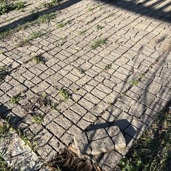 Pavers 280
