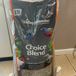 Birds Food