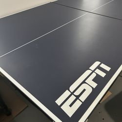 Ping Pong Table