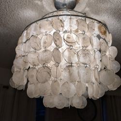 faux shell chandalier
