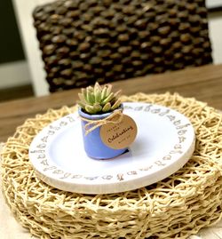 Easter Succulent Table Favors 