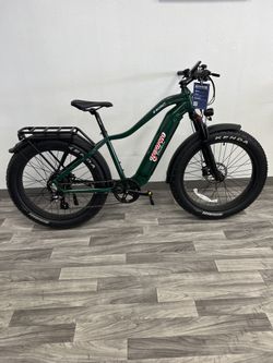 Electric Bike: Young Electric ESCOUT