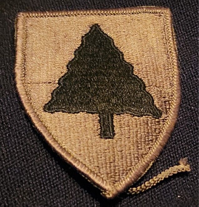 Vintage Collectable Vietnam Era Army 91st Infantry Brigade Patch subued