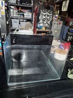 Fish Tank
