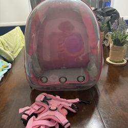 cat backpack and harness combo 