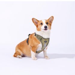 Adjustable Oxford Dog Harness No Pull and Leash Set Walking Pet Harness with Easy Control Handle for