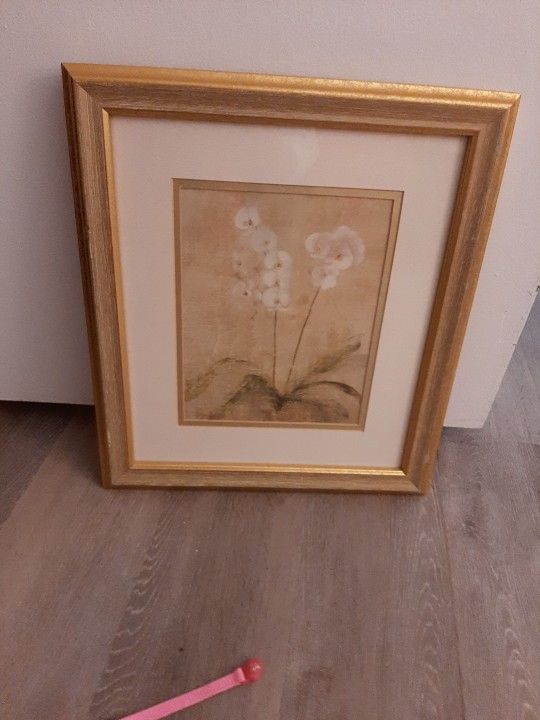 White Orchid Framed Art 15x17