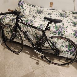 Giant Road Bike - M SIZE 