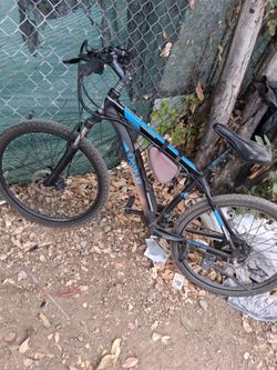 Ebike