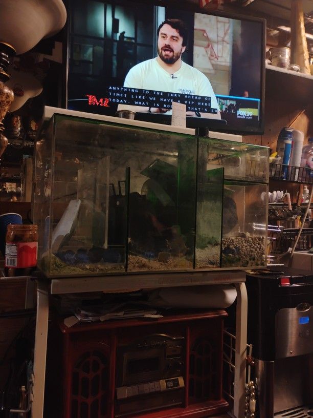 40 Gallon Fish Tank With  Four Separators In The Tank Filter Top Little Gravel Balls Filter Balls I'm Real Nice Piece