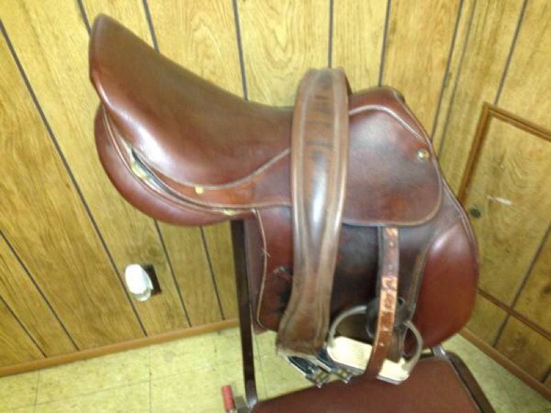 Crosby equilibrium English saddle